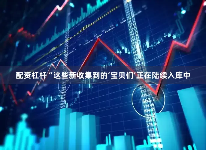 配资杠杆“这些新收集到的‘宝贝们’正在陆续入库中